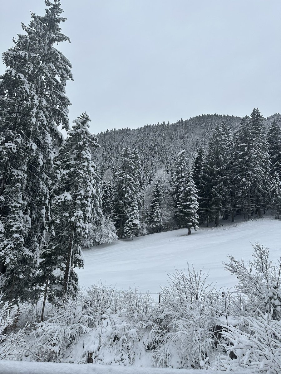 am1n_sd's tweet photo. hivernal https://t.co/LTm1B2bJ57