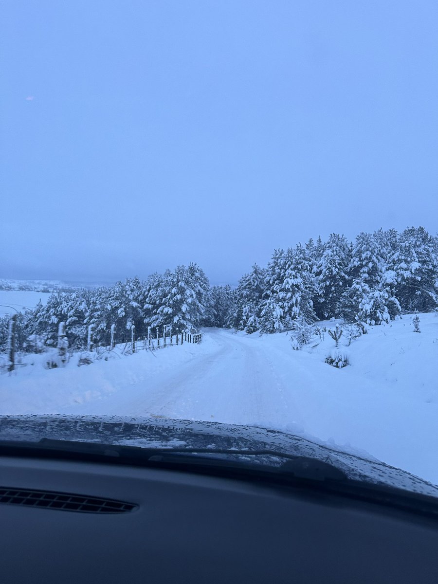 am1n_sd's tweet photo. hivernal https://t.co/LTm1B2bJ57