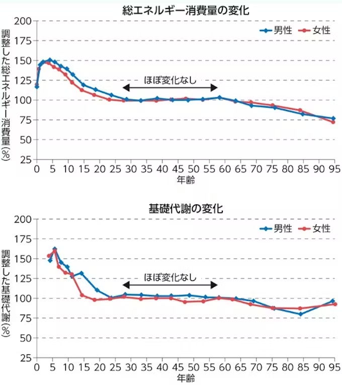 nikkei's tweet photo. 中年太り、原因は｢代謝｣にあらず　座りすぎやめ筋トレを
【2024年9月 読まれた記事】
https://t.co/NV8jNZPgmd https://t.co/ae8hUx7NeQ