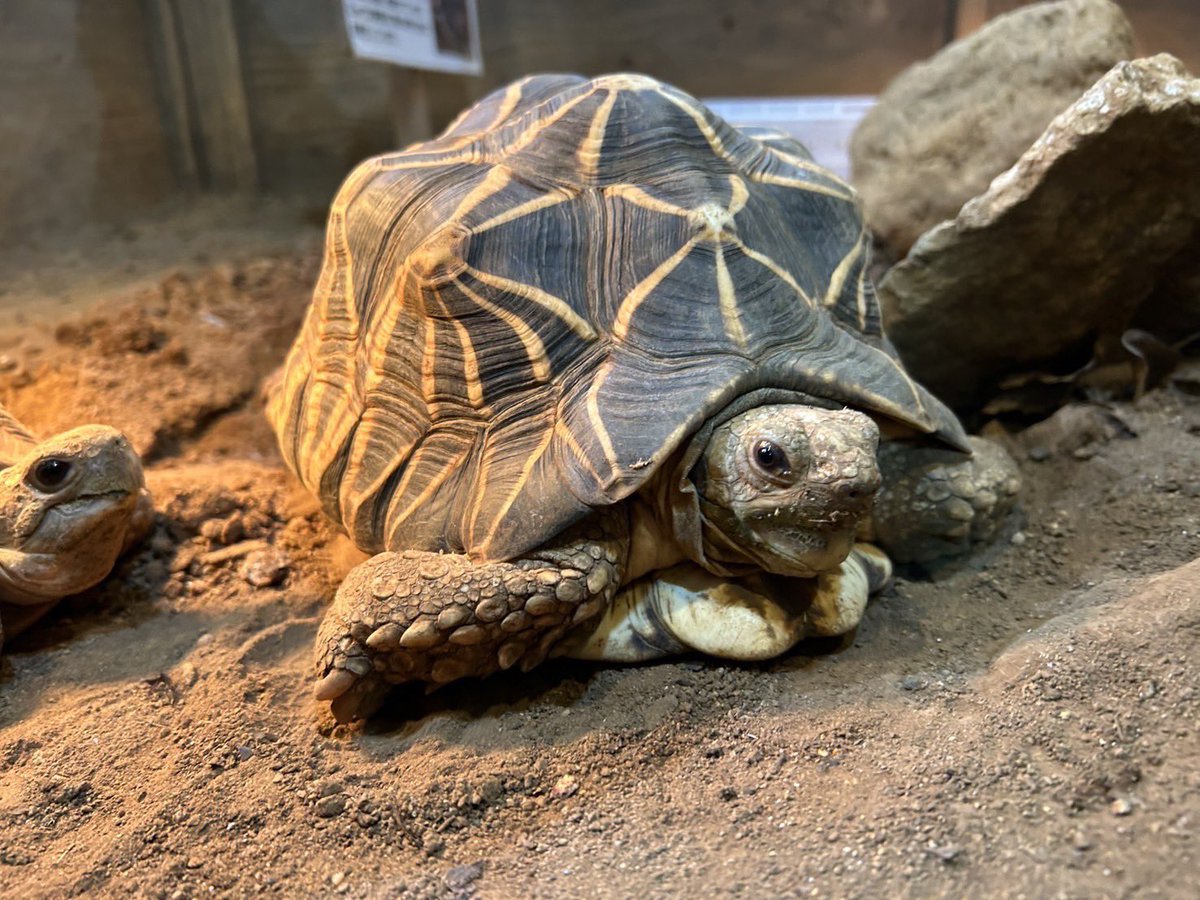 かめちゃん様確認用 かめちゃん様確認用 かめかめ様 リクエスト 6点