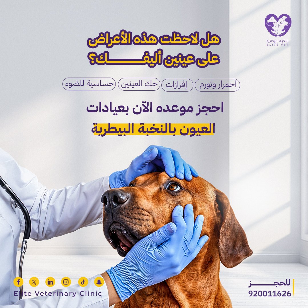 EliteVetKsa's tweet photo. عيادة العيون بالنخبة البيطرية جاهزة لاستقبال أليفكم ورعايته، مع نخبة من أفضل الأطباء وعيادات مجهزة بأحدث أجهزة التشخيص والعلاج الدقيق.
 احجز موعد أليفك الآن:
920011626
#النخبة #الرياض #عالج #تشخيص #أشعة https://t.co/3zObrwiDFO