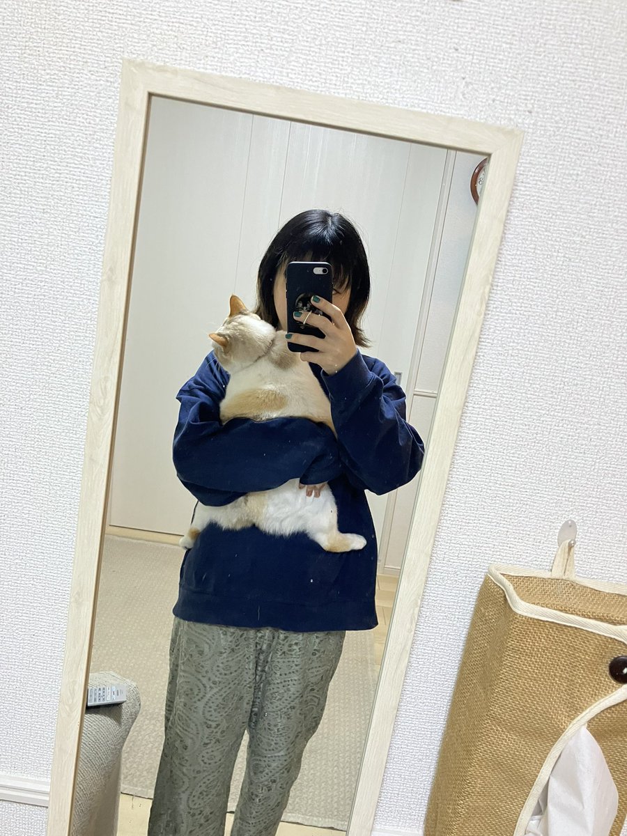 miiipaaa___'s tweet photo. 最近、長女5歳が甘えん坊です https://t.co/6hMu3fCLks