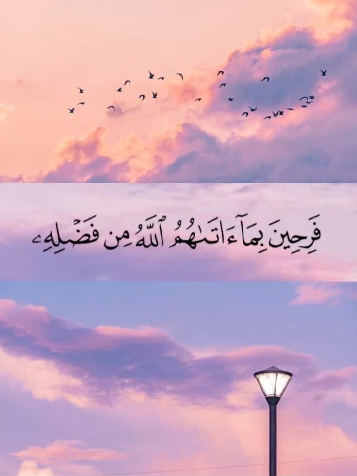 يــارب شعور هذة الآية💜..