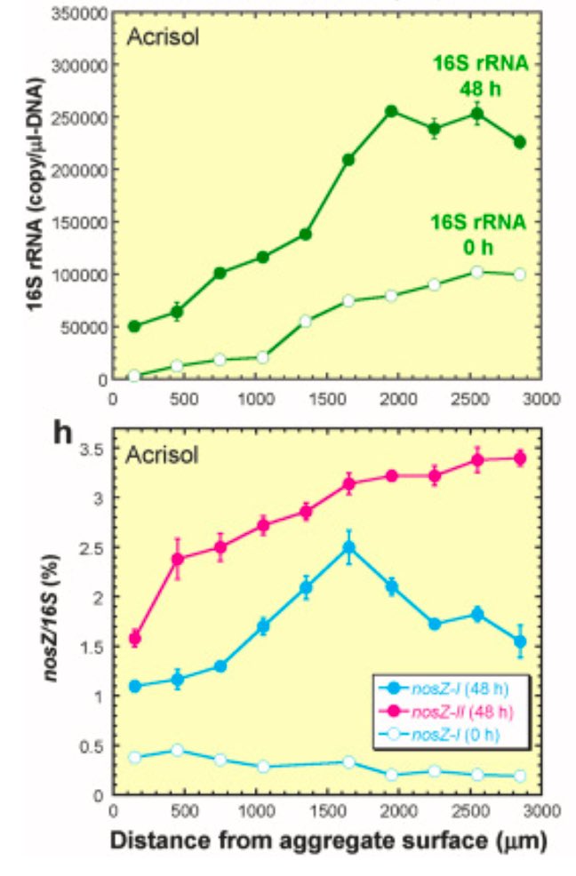 Happy to announce our new study — an example of tight linkage among soil physics, chemistry and microbiology at micro scale. We showed possible niche separation of nosZ microbes within single soil aggregate.

authors.elsevier.com/c/1kJyJ8g13bT6s