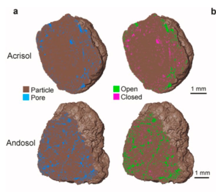 Rota Wagai tweet media