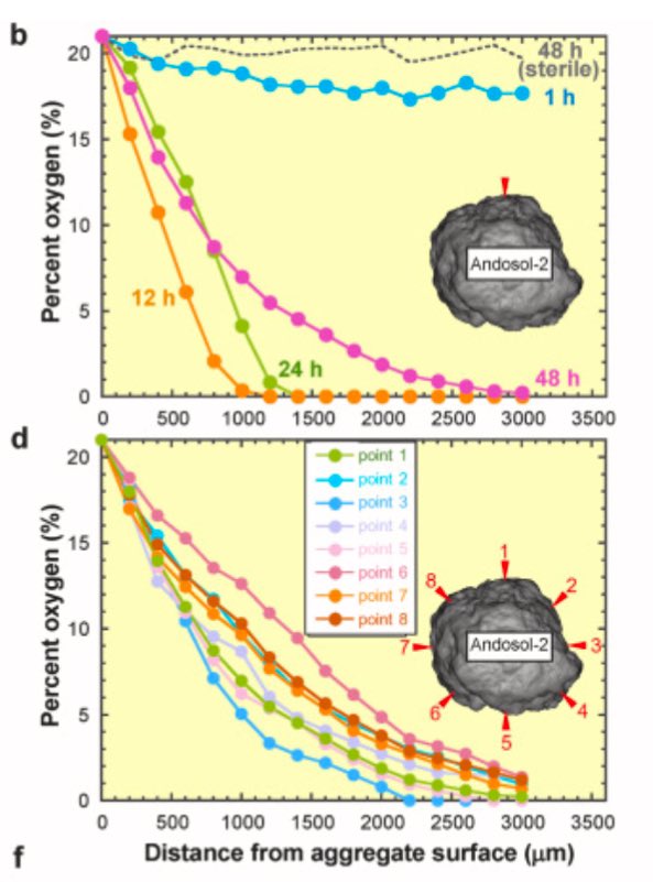 Rota Wagai tweet media