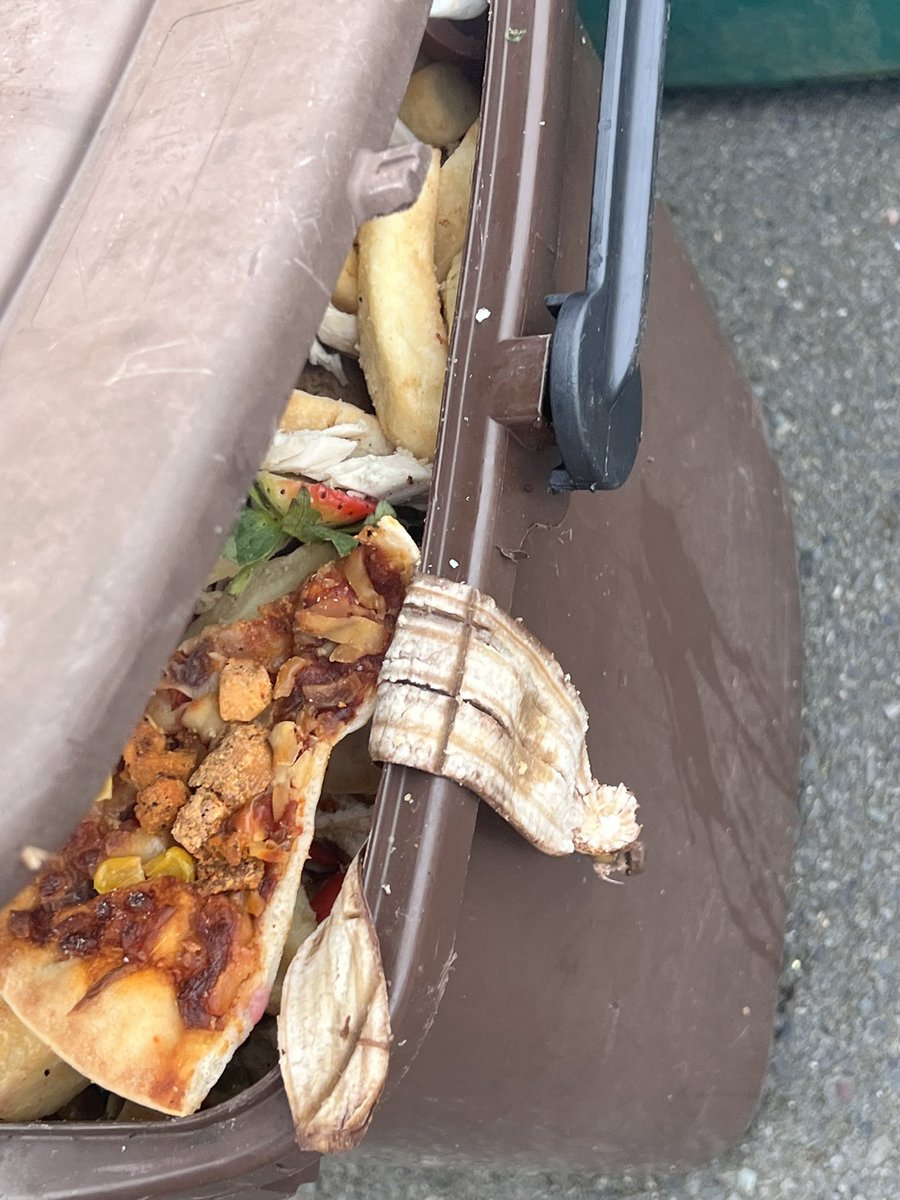 bexyemz's tweet photo. Well done @NewportCouncil emptied glass and cardboard recycling but left the rest! Pay a fortune in council tax for a half a service!!!   🤬🤬🤬 https://t.co/PcF2DbjhDx