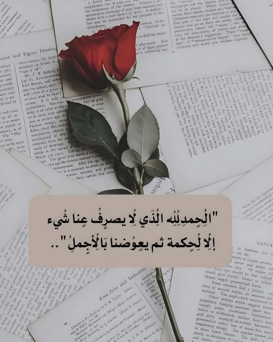 iireem2018's tweet photo. سبحان الله ..
ما أجمل العوض من الله https://t.co/foRSpFiiQF