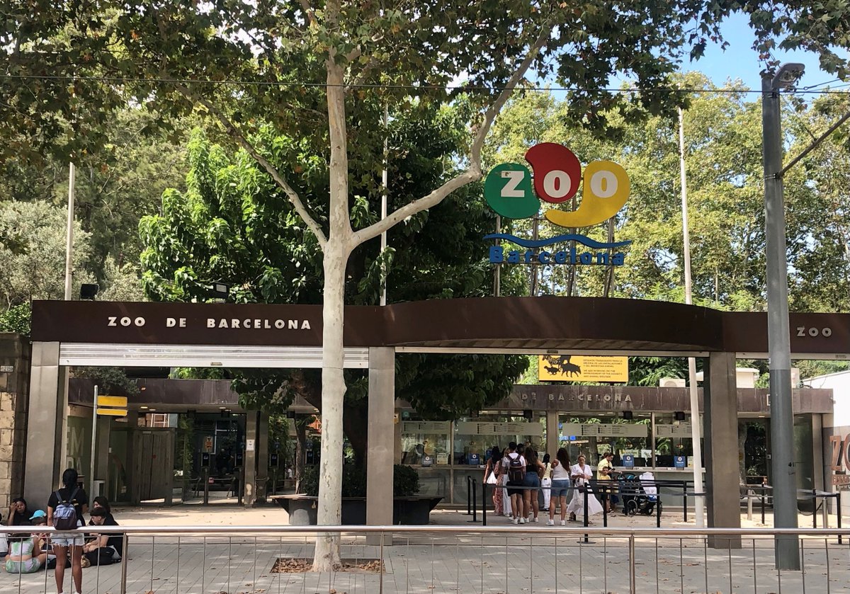 zoobarcelona (@zoobarcelona) on Twitter photo ℹ️ El Zoo obre les seves portes a les 14:00 h, fins a les 17:30 h. Demà recuperem l'horari habitual. ℹ️ El Zoo obre les seves portes a les 14:00 h, fins a les 17:30 h. Demà recuperem l'horari habitual.