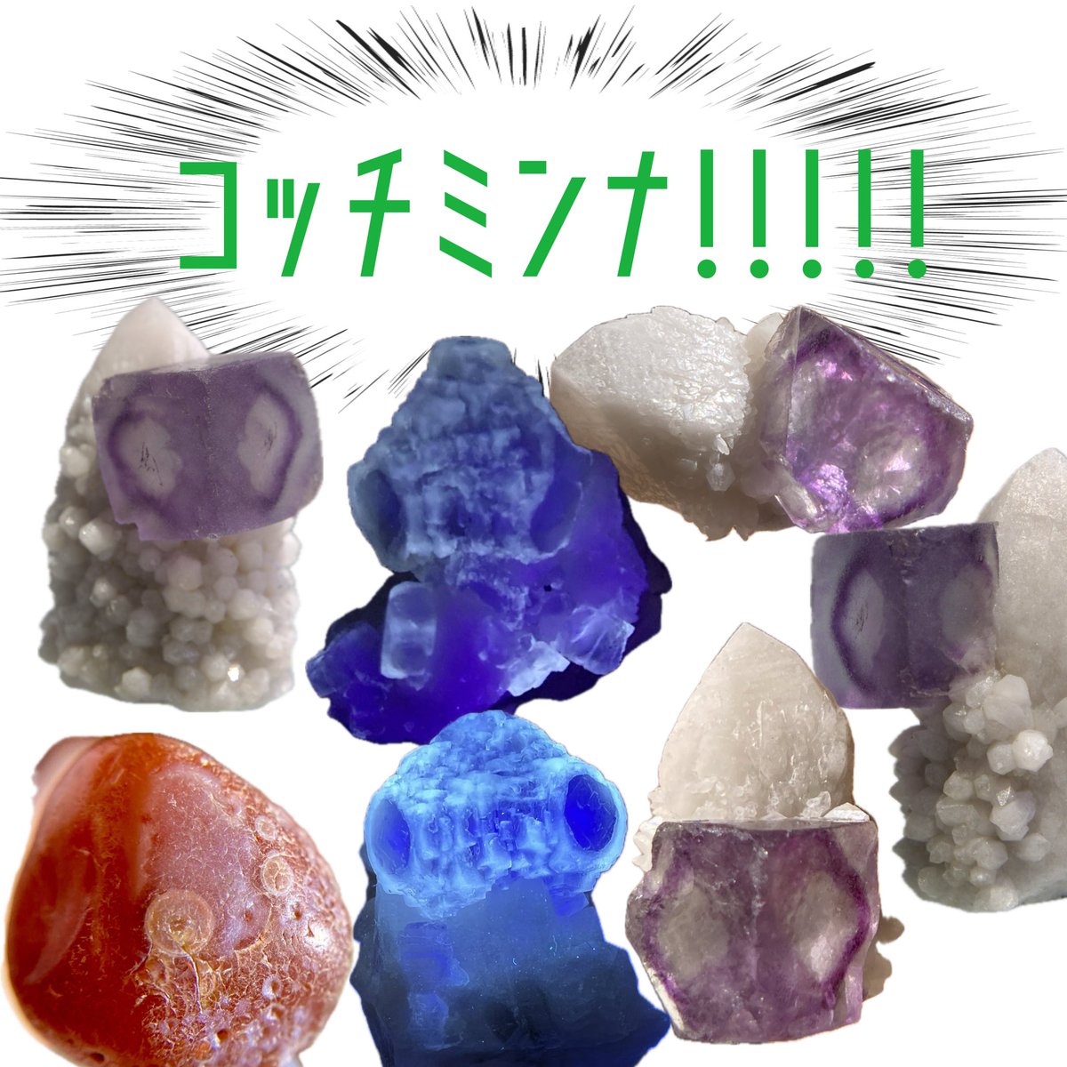 ❤トリマリンさま❤❤✨ image494711324.png