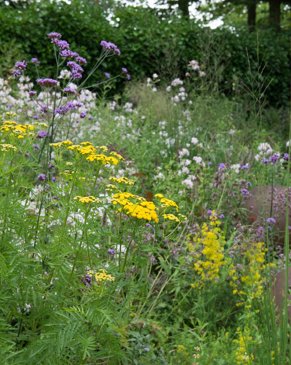 🌱 Nieuwe doelen voor je tuin? Begin 2025 met vaste planten voor structuur, kleur en plezier het hele jaar door. im.nu/29G1Pu #TuinDoelen #VastePlantenParadijs #VastePlanten #PerennialPower