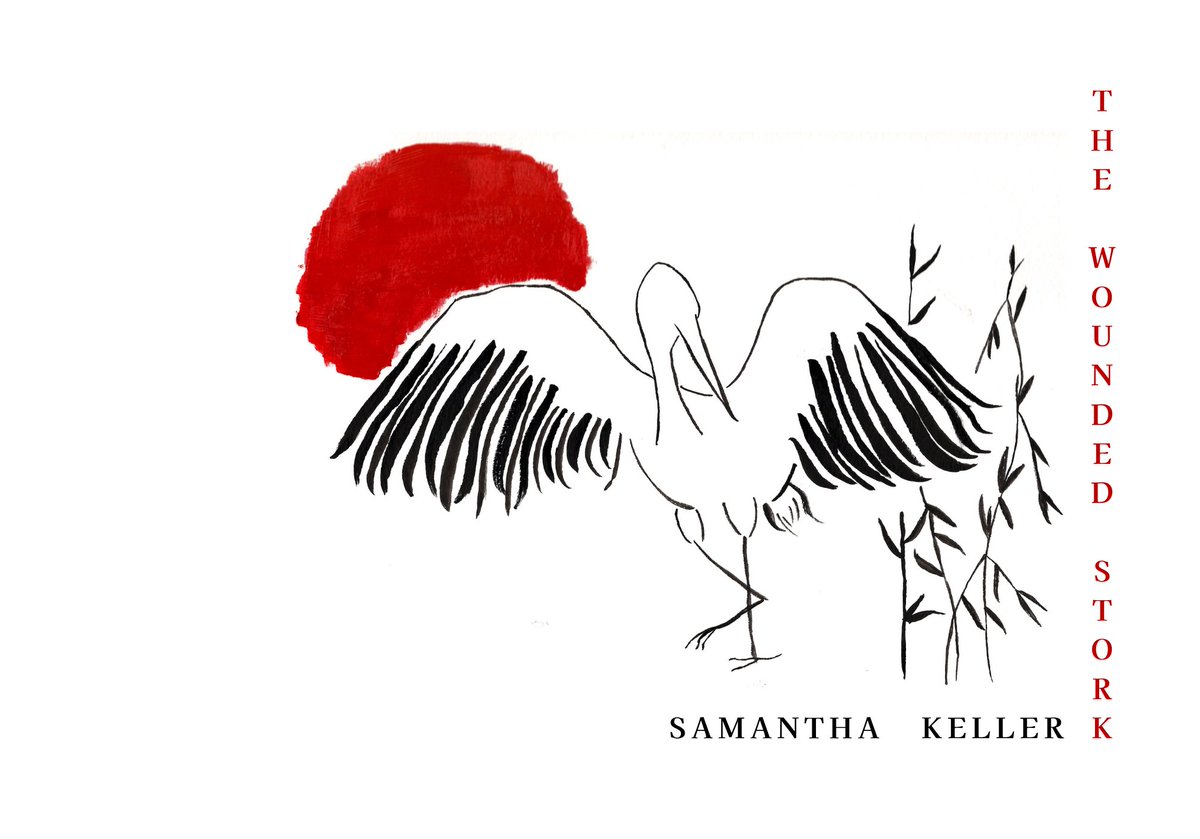 The Headlight Review tweet media