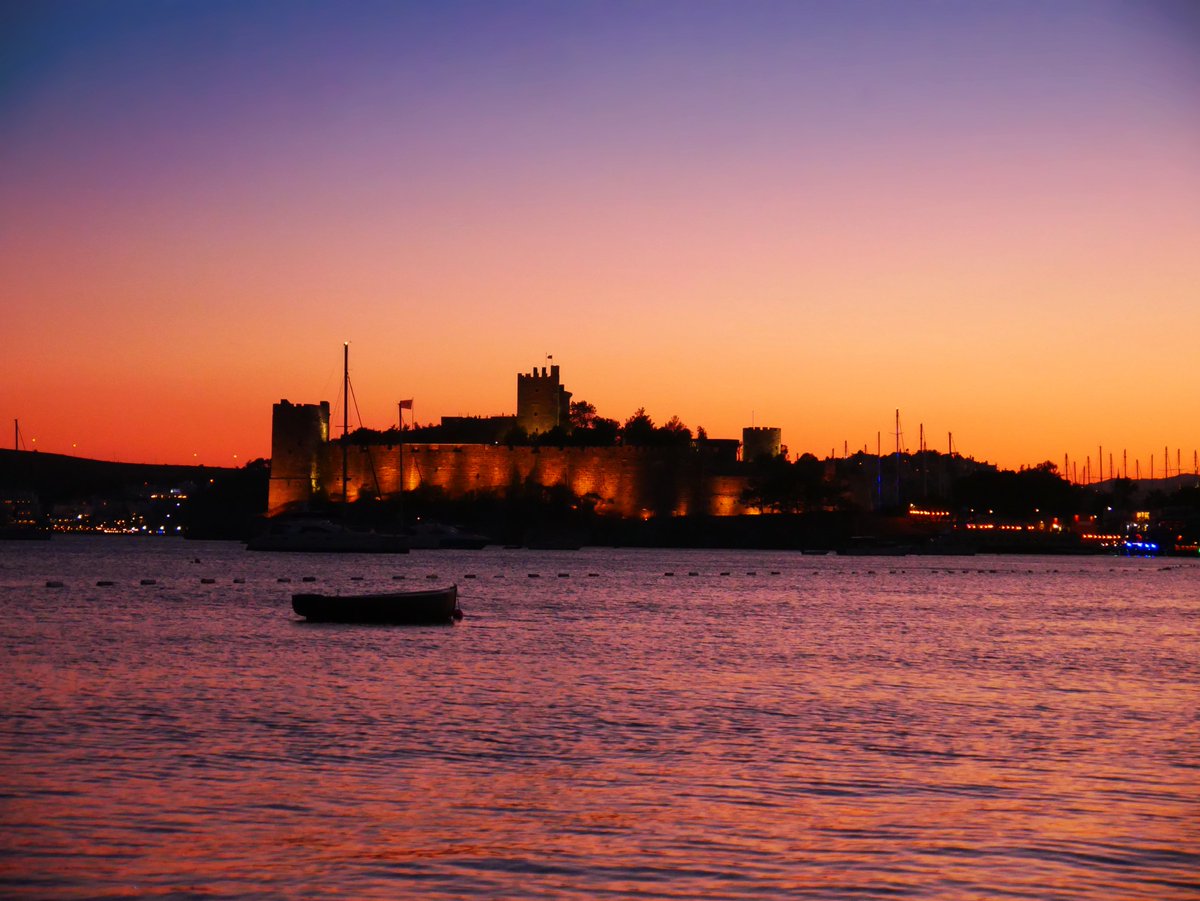 Forest:Archaic Collective tweet media