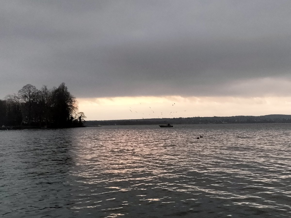🎶 Jeter dans l'eau, jeter des filets...

#leman 🇫🇷  #voulzy 🎵