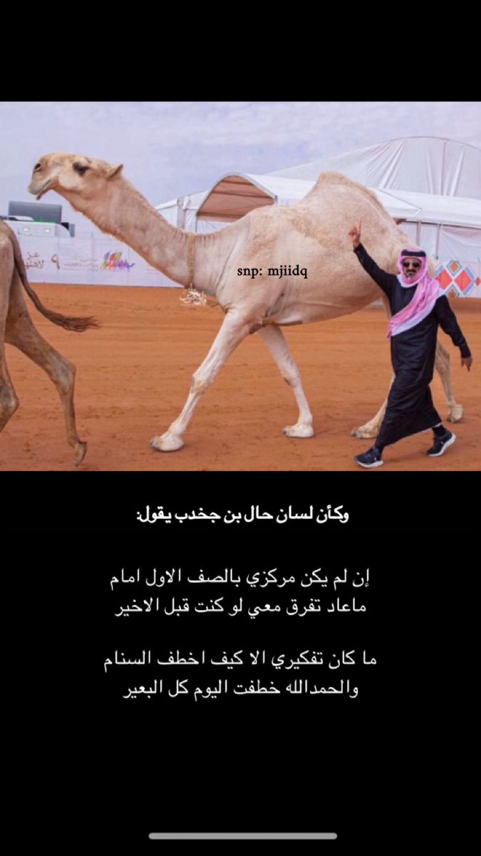mjidq1's tweet photo. وكأن لسان حال ابن جخدب تقول 

إن لم يكن مركزي بالصف الاول امام
ماعاد تفرق معي لو كنت قبل الاخير 

ما كان تفكيري الا كيف اخطف السنام
والحمدالله خطفت اليوم كل البعير

 #ابن_جخدب https://t.co/utmAWjxO9o