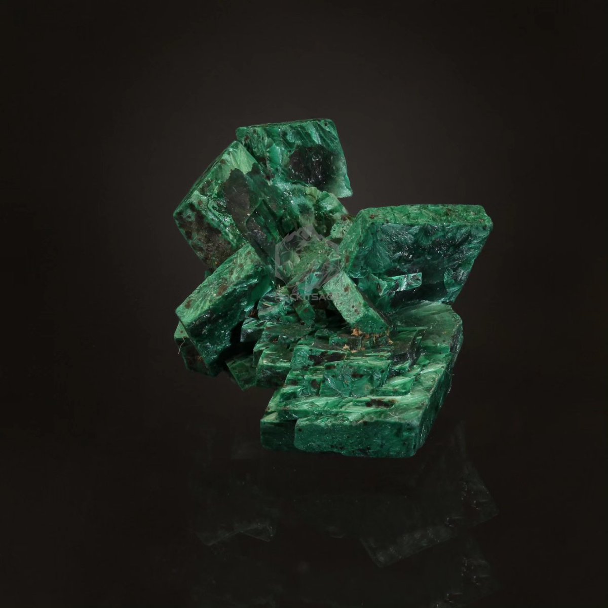 Malachite after Azurite. 1.5x1x1.5cm
From Namibia. Getting back into my photography! #mineral