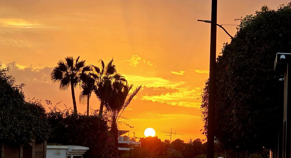 dbsmorocco's tweet photo. 🇲🇦❤️🌅The sunset dips below the horizon in Agadir, painting the sky with hues of orange and pink. The gentle whisper create a moment of pure magic. #SunsetInAgadir #MoroccoMagic https://t.co/E2X6NDQbHz