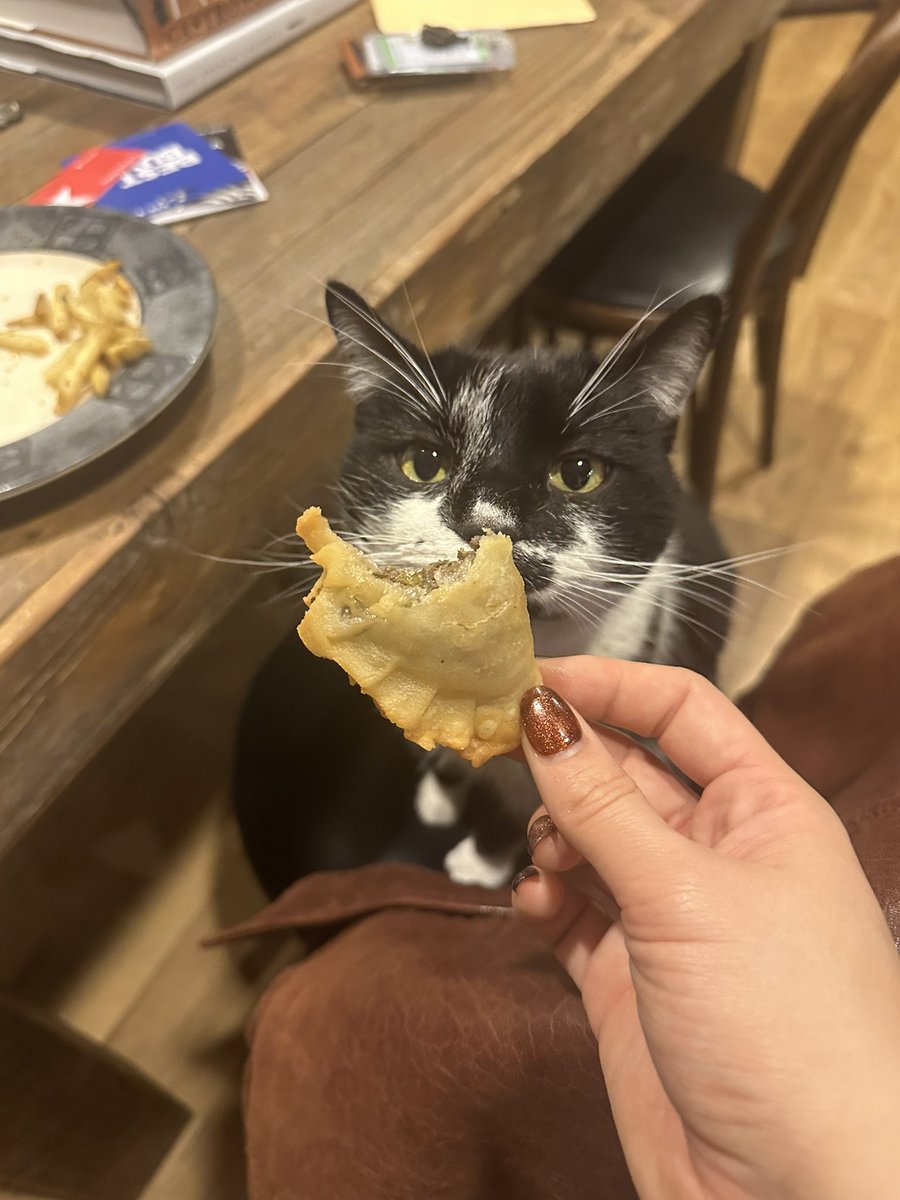 Mr. Kitty tweet media