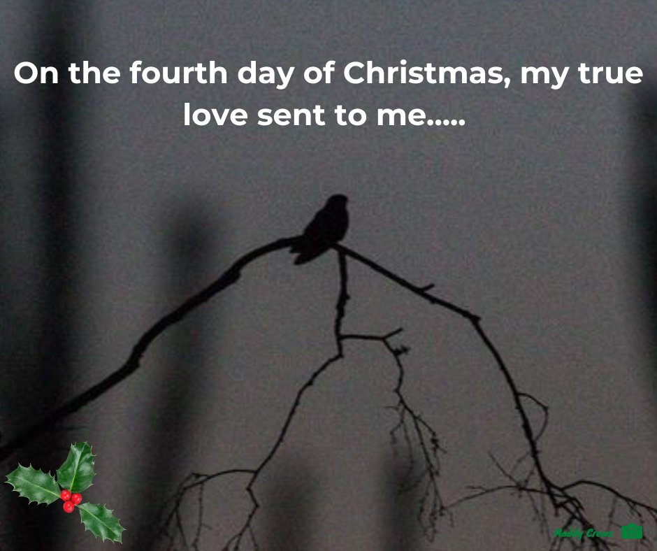 Four calling birds,
Three French hens,
Two turtle doves,
And a Nightjar in a birch tree.

Well, one can hope but that would be rather unfair to the #Nightjar!

We hope that the Nightjars that we are fortunate to have return to our #ThamesBasinHeaths each year are enjoying the