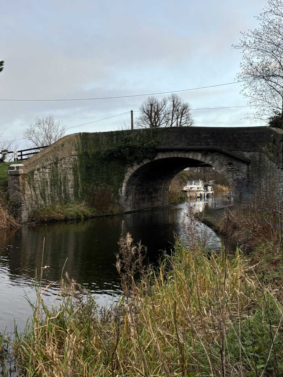 John McCafferty tweet media