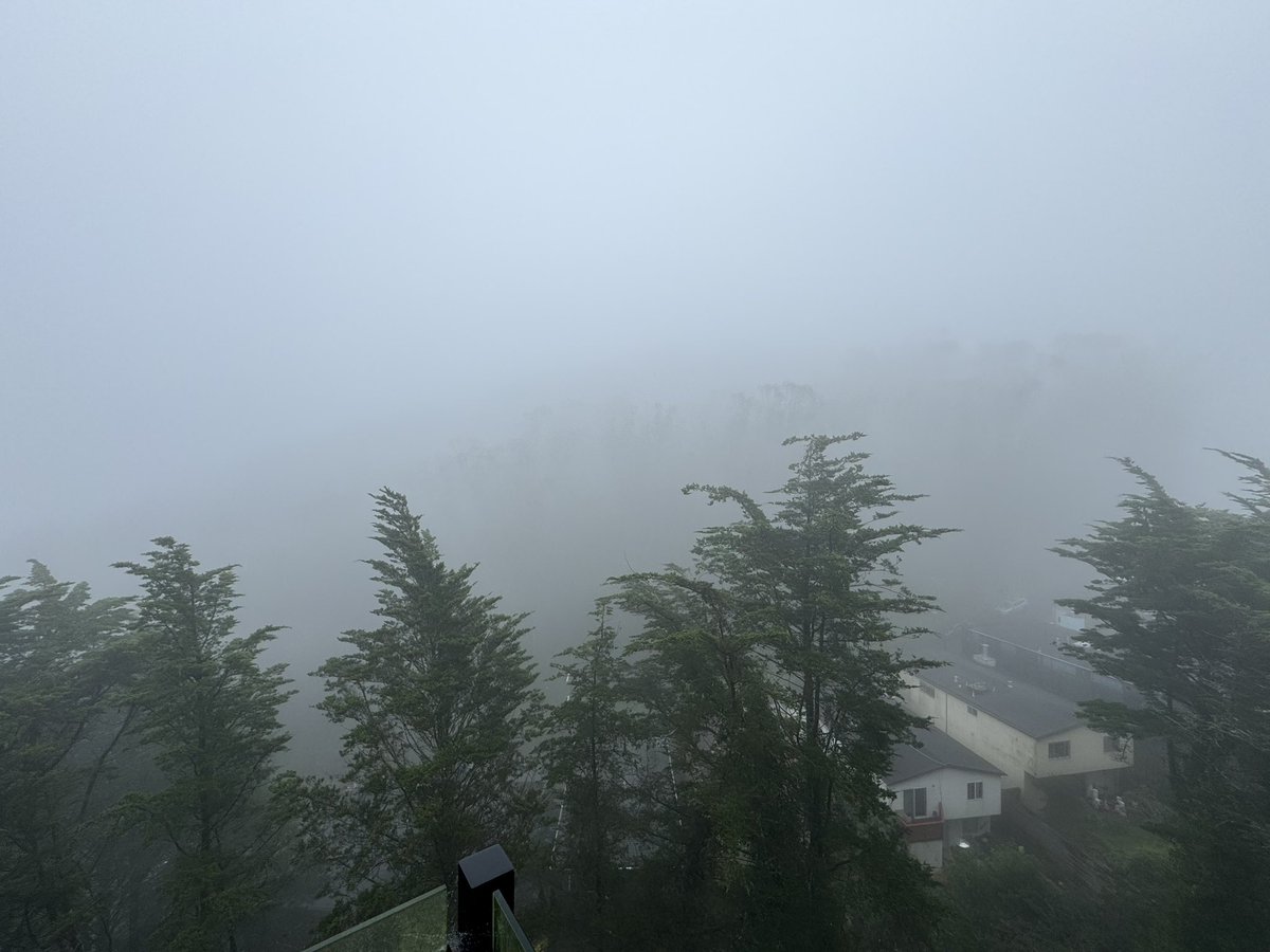 Stewart Duffy tweet media