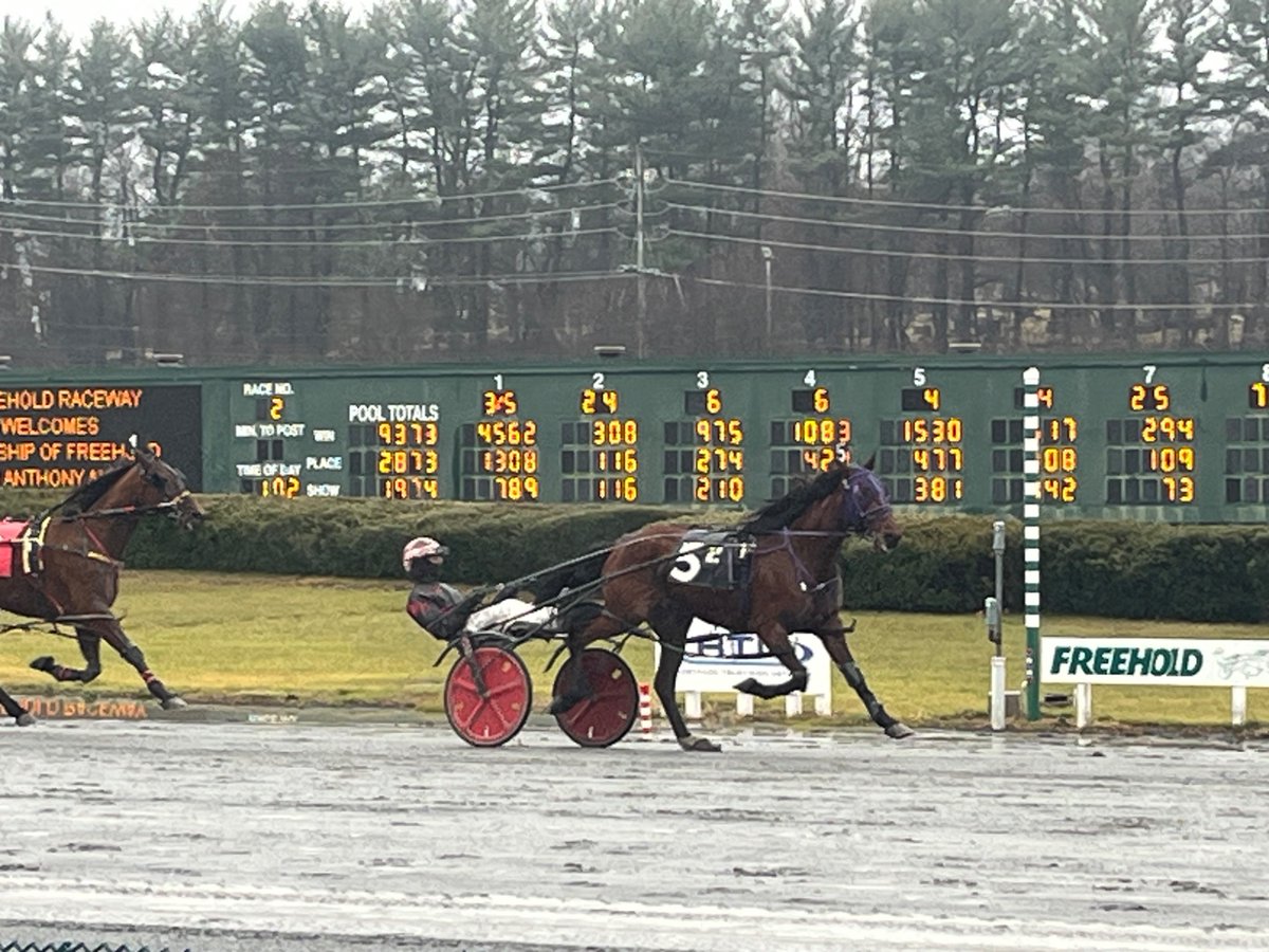 JustinStygles's tweet photo. Taking in the curtain call @freeholdraceway. Goodbye to hallowed grounds of great 1990’s racing. @justADCohen @john_rallis @gabe_prewit @trotmagazine @hoofbeats @USTrotting https://t.co/iRoeIH9AkZ