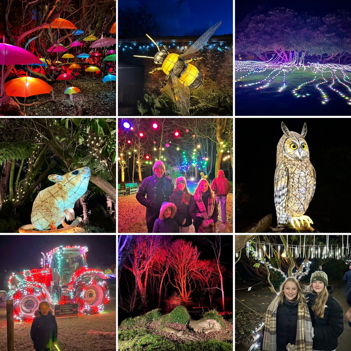 Leila Nottage (@leilanottage) on Twitter photo <a href="/HeliganGardens/">The Lost Gardens of Heligan</a> Night Garden was absolutely stunning! One of my favs this year. ❤️ <a href="/HeliganGardens/">The Lost Gardens of Heligan</a> Night Garden was absolutely stunning! One of my favs this year. ❤️
