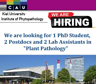 📌 Recruiting 1 PhD Student, 2 Postdocs and 2 Lab Assistants in Plant Pathology 🌱🧬🦠 at Kiel University in Germany 🇩🇪: agristok.net/2024/12/28/rec… via <a href="/agristok/">Agristok</a>