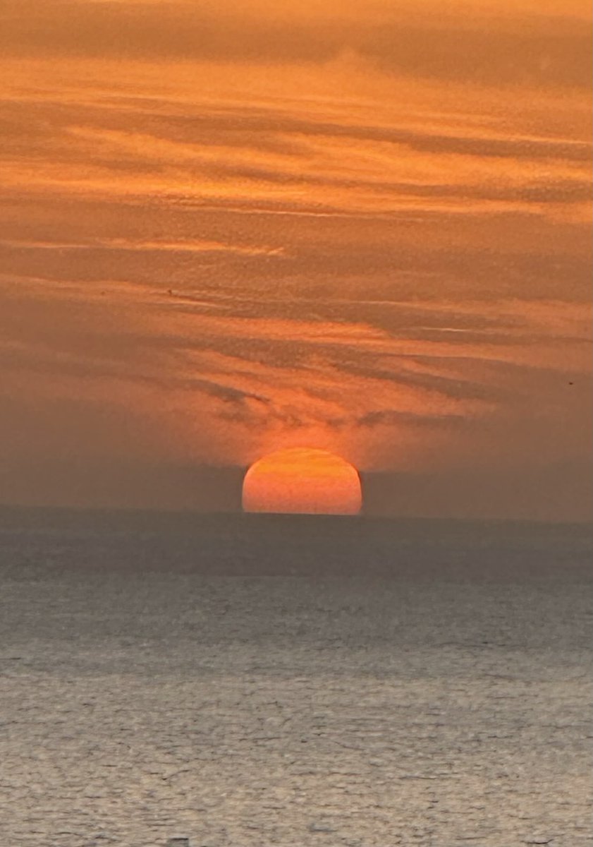 Malcolm Prideaux tweet media