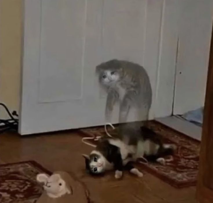 ezegamer_1 tweet media