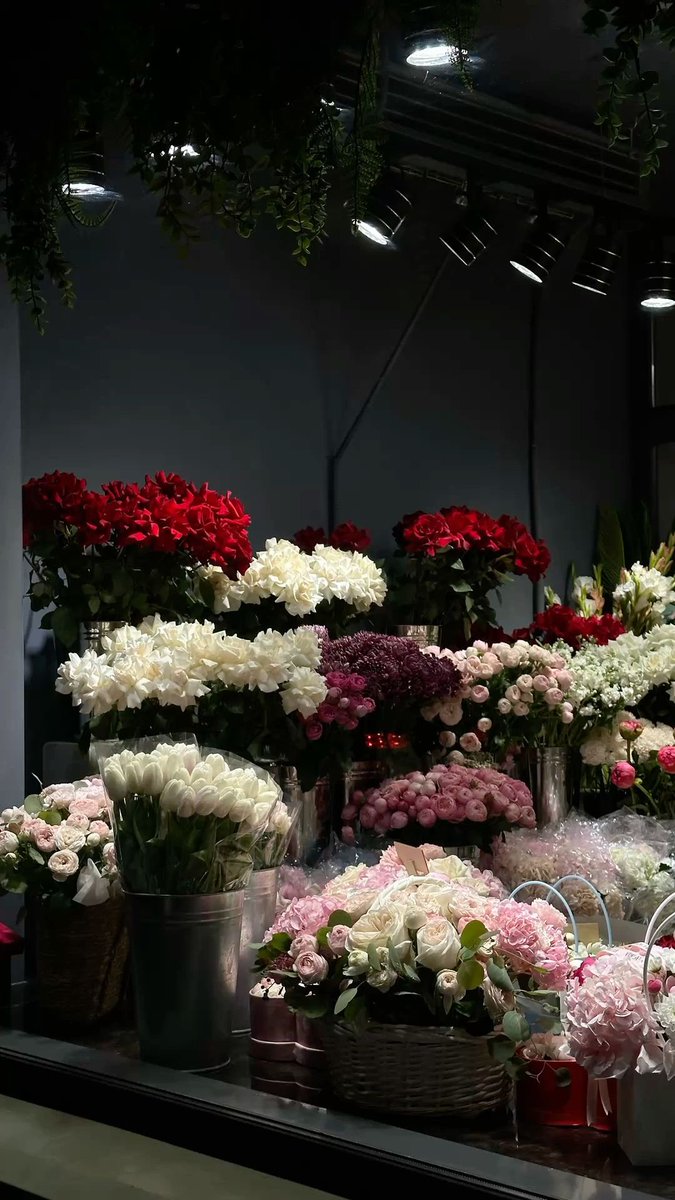 ❀ (@i3moment) on Twitter photo 