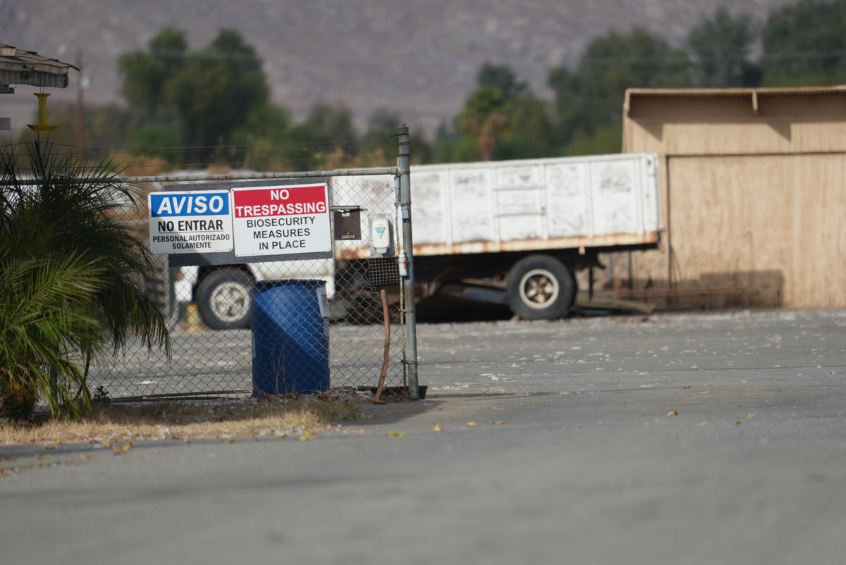drcrystalheath's tweet photo. Can anyone point out the biosecurity concern here?
#h5n1 #oneheath #avianinfluenza #birdflu #vetmed #vettwitter #farmtofork #farmtotable #foodtruth #animalrights #veterinarymedicine #animalwelfare #plantbased #vegan https://t.co/yd9dNoaK2q