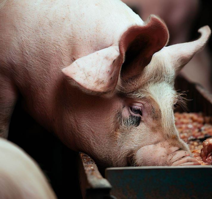 Cut My Tax tweet media