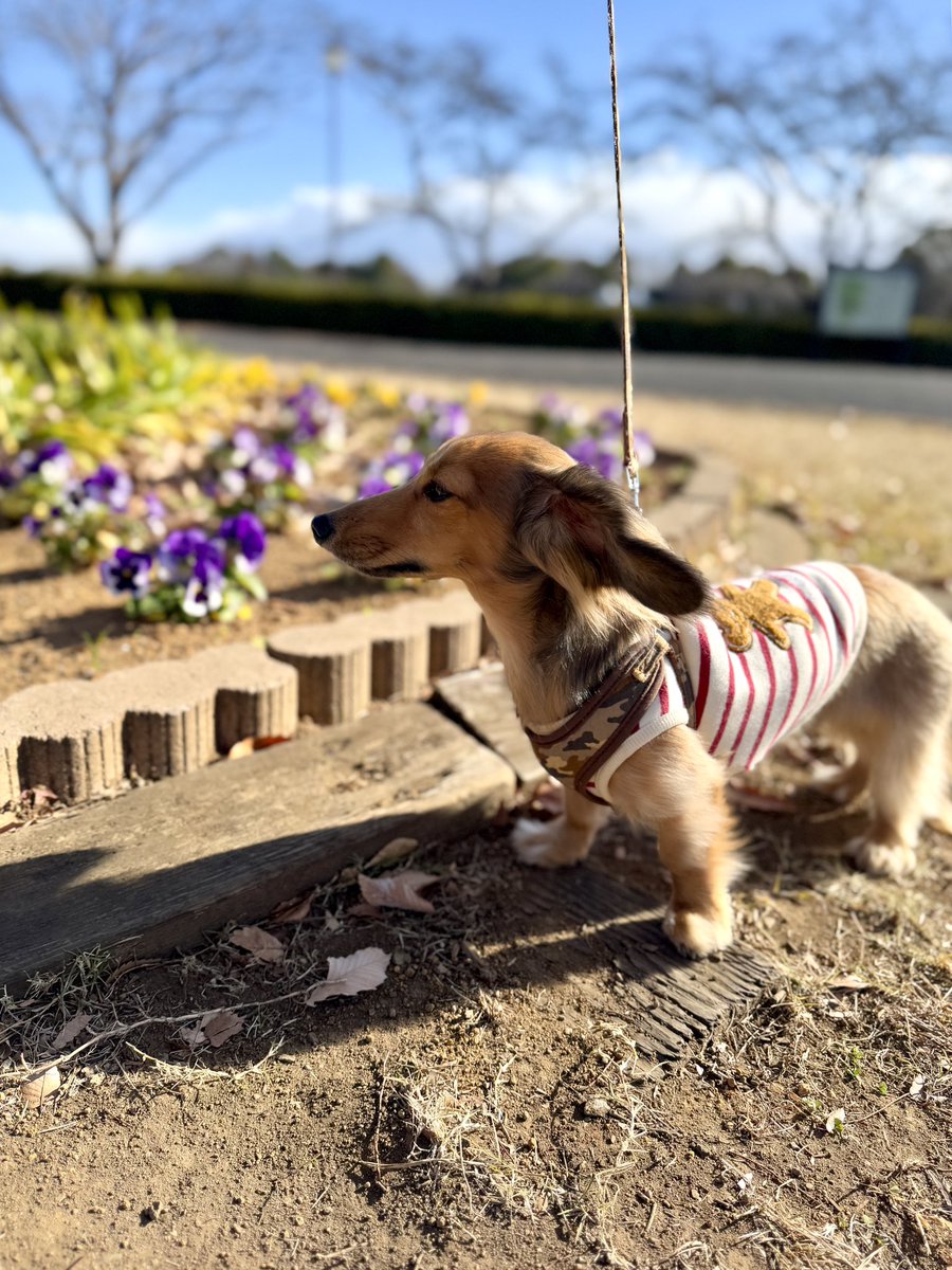 今年最後のドッグラン無事納めました。
皆様、良いお年をお迎えください。