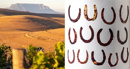 TopWineSA's tweet photo. Very few, if any, can rival Diemersdal when it comes to South Africa's Sauvignon Blanc specialists. Eight versions, including No. 1 according to Platter's 2025 SA Wine Guide.
https://t.co/ZEISEt4uH8
#SA #SouthAfrica #TopWine #Platter #Diemersdal #SauvignonBlanc #Horseshoe https://t.co/DKNL3HbdSc