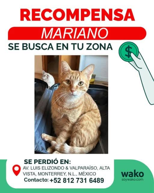 Ba´alzemon tweet media