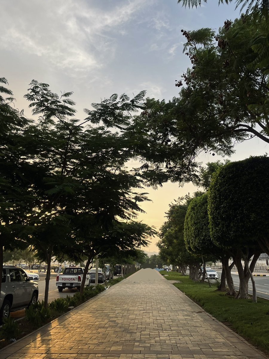 يقول ابن سينا: «مسكِّنات الأوجاع: المشي الطويل، والانشغال بما يُفرح الإنسان»