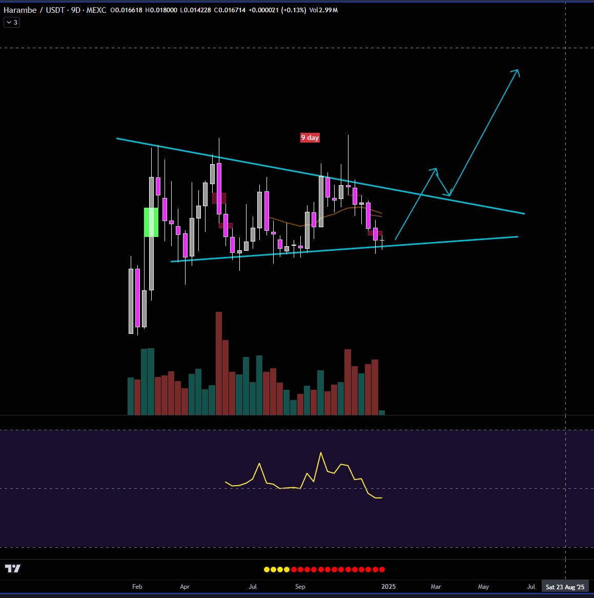 The Prophet tweet media