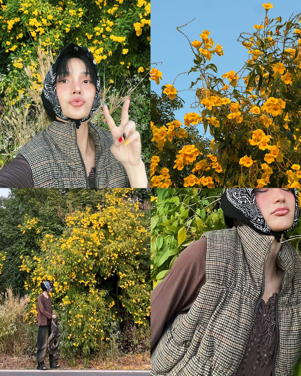 ninjanjcha's tweet photo. Just like the flower 🌼 #NINJA #Ninja4MIX https://t.co/xFnTVM5BkX