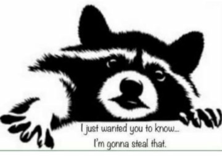 Infinite Backshots tweet media