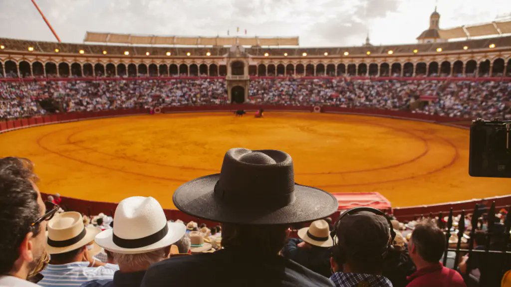 CinePensar's tweet photo. 30 PELÍCULAS 2024 #cineoff
1 La Zona de interés
2 The Brutalist
3 Dune2
4 Emilia Pérez
5 La Bête
6 The Substance
7 Tardes de soledad
8 La quimera
9 Segundo Premio
10 El cielo Rojo
11 La Estrella Azul
12 El Sucesor
13 Love lies Bleeding
14 Flow
25 Siempre nos quedará mañana
Sigue https://t.co/mBHZe7168J