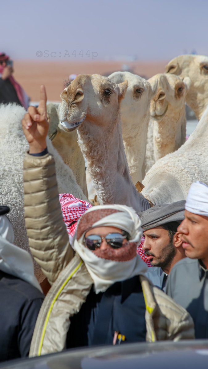 احمد القحطاني ءღ 📸🧡 tweet media