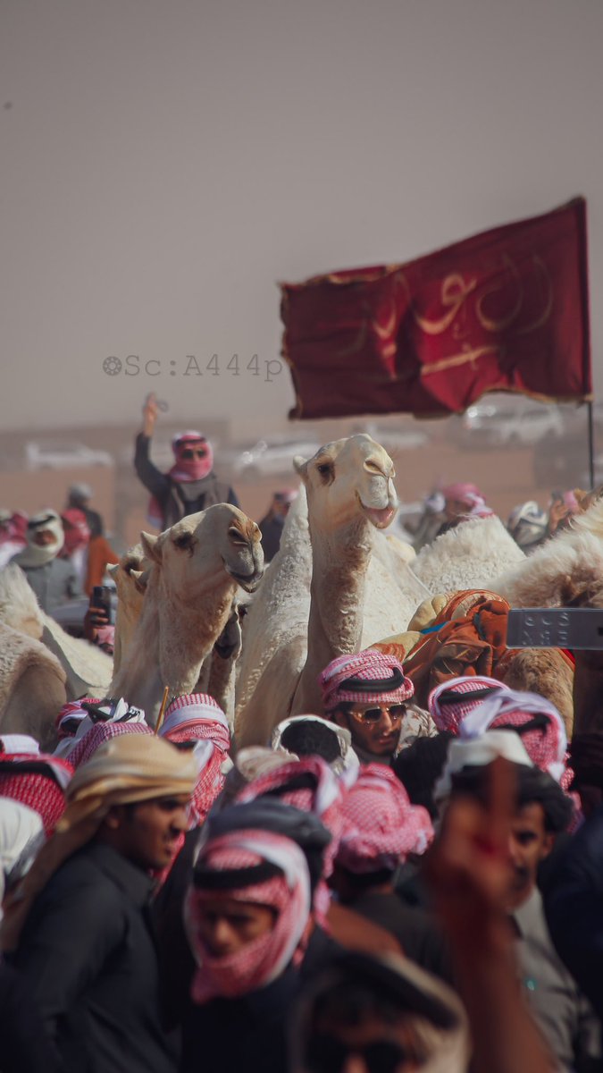 احمد القحطاني ءღ 📸🧡 tweet media