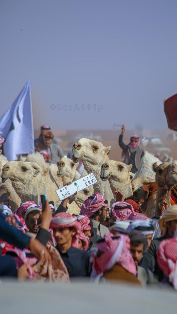 احمد القحطاني ءღ 📸🧡 tweet media