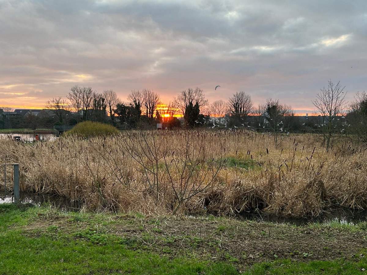 Turnavidock tweet media