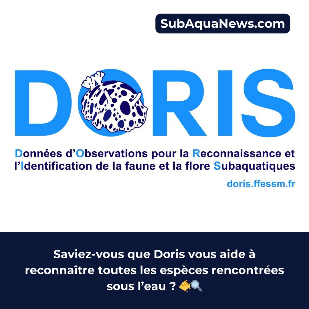 SubAquaNews's tweet photo. Un poisson inconnu lors de votre dernière plongée ?🐟✨
Doris, l’outil indispensable pour reconnaître les espèces sous-marines ⬇️

https://t.co/6UR1oBKvTV

#ffessm #apnee #apnée #apnea #apneia_sub #freedive #freediving #freediver #underwater #doris #sea #sealife https://t.co/ZKVhZ7q6Ed