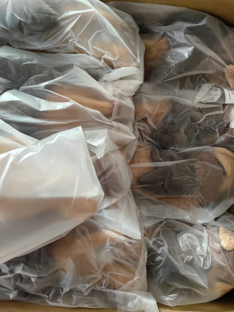 Good Egg 🐣on🦋 tweet media