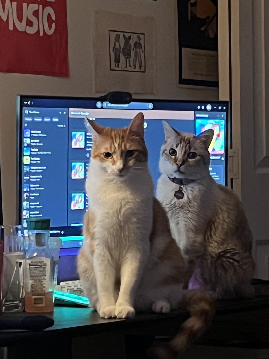 the council…aka the orange court jester and the queen