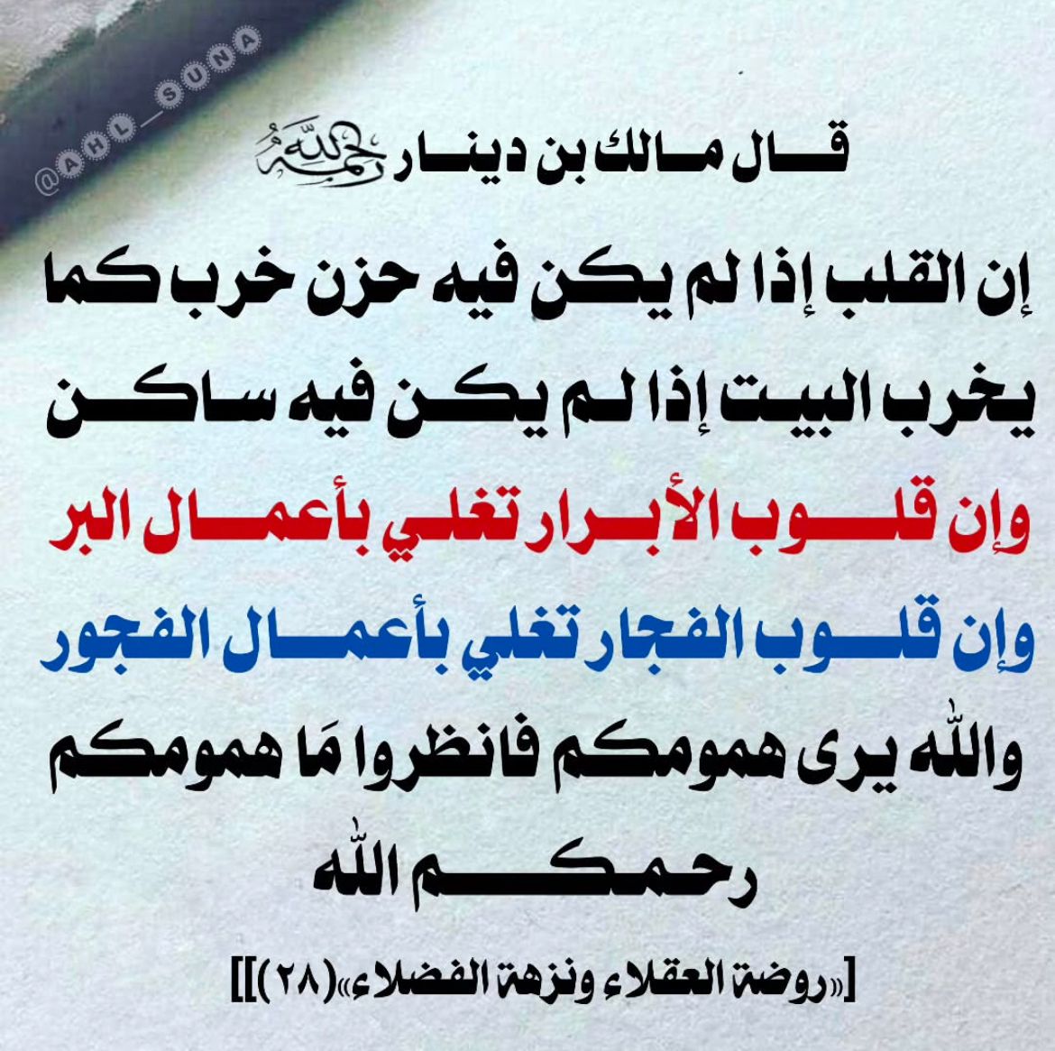 ولد زايد tweet media