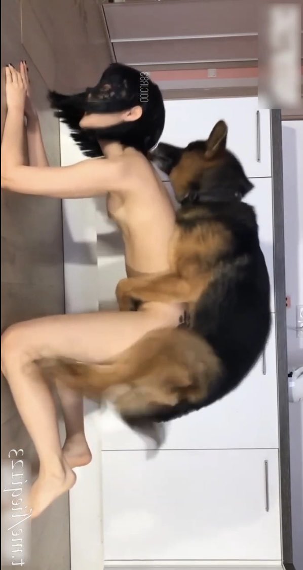 ryxbo896's tweet photo. 第七次犬交成功
这次恶心 被🐶内��� 内了几分钟
录好了 两个26分钟的长视频
想看 点赞和评论扣666  🥰🥰🥰
想看私我🐶🐶🐶🐶 https://t.co/txZOJbB35m